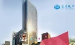 广州网站建设案例：富力地产官网建设